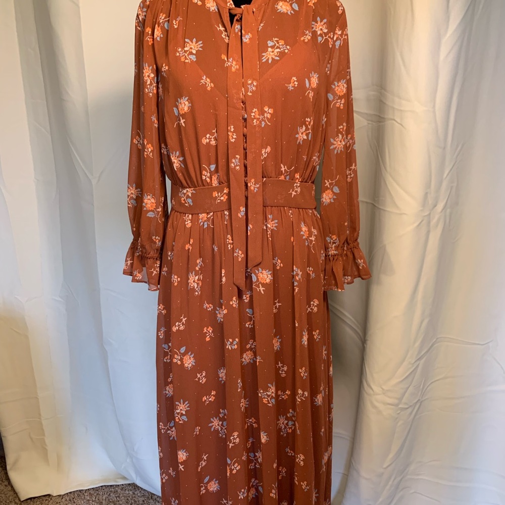 NWT, Madewell Button Front Floral MIDI Dress, size 6